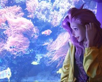 537.tv直播：高清流畅，赛事精彩不容错过！