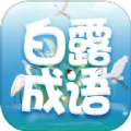 白露成语app官方版