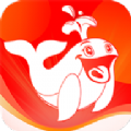 鲸喜多多app