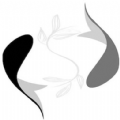 新联盛小盒子app