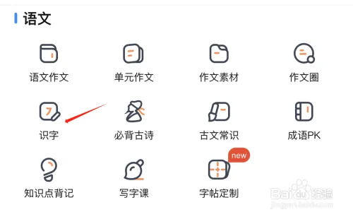 zyb22.webp