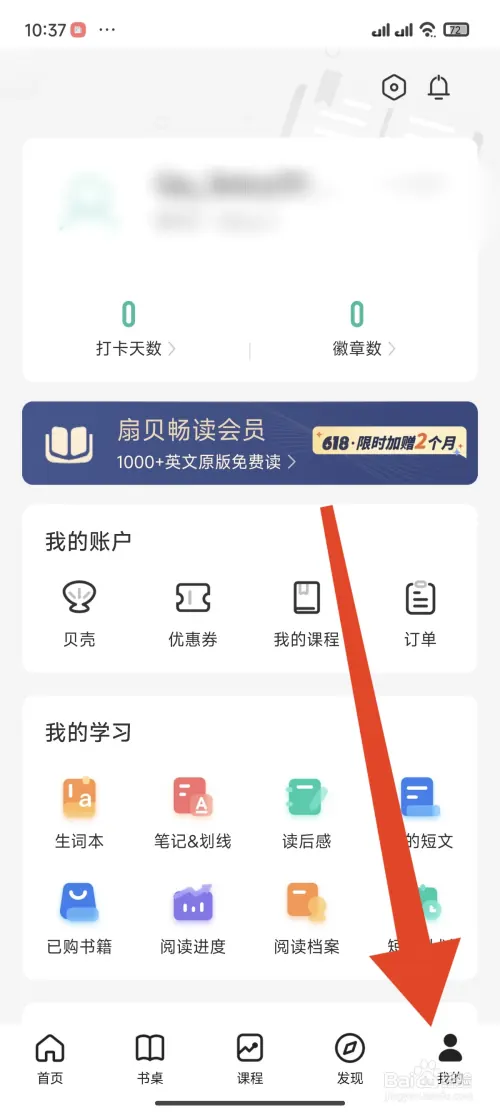 sb11.webp