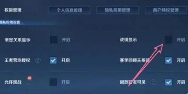 王者荣耀怎么隐藏战绩