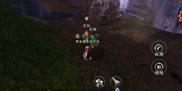 逆水寒手游日出有曜怎么玩