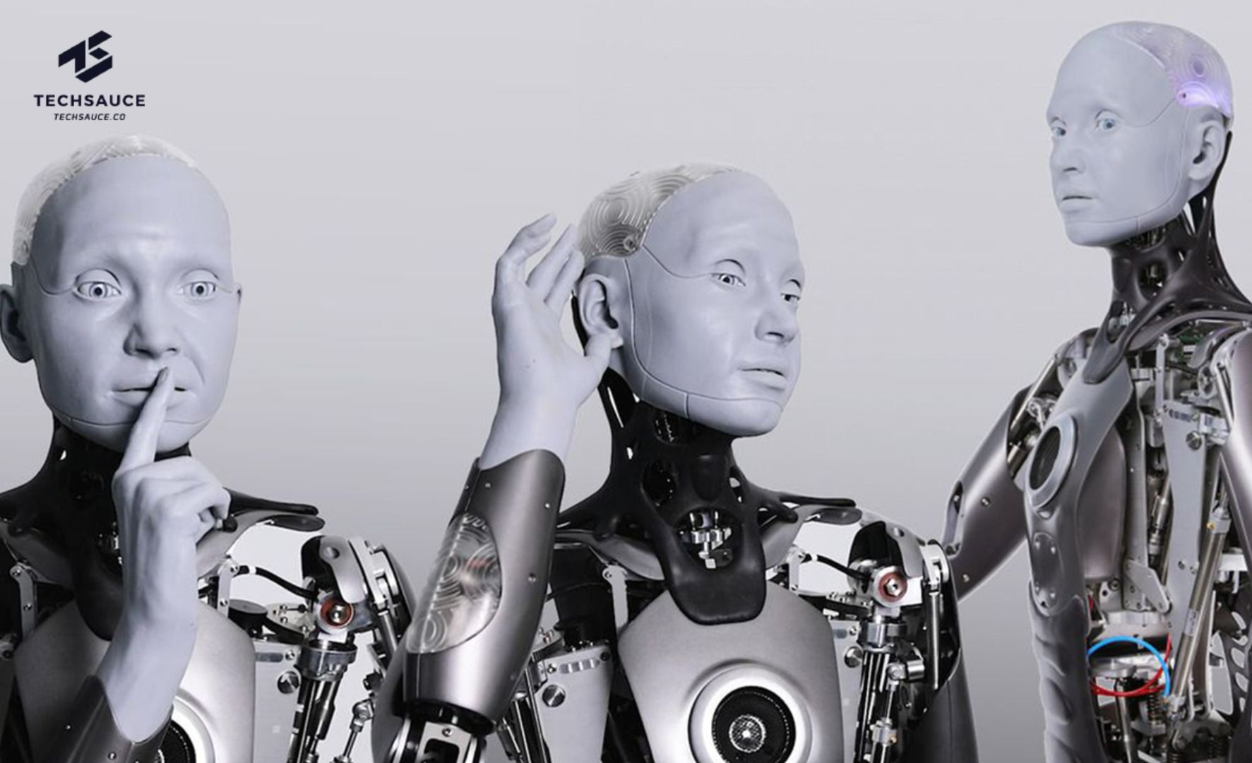 AI时刻丨当AI赋予机器人"灵魂":2024年最值得关注的AI机器人技术盘点 AI时刻丨当AI赋予机器人