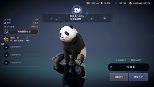 黑色沙漠手游熊猫任务怎么做 黑色沙漠手游熊猫任务怎么做