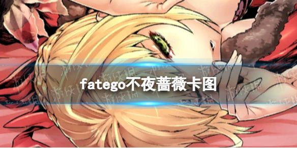 fatego不夜蔷薇卡图FGO不夜蔷薇卡面 fatego不夜蔷薇卡图FGO不夜蔷薇卡面