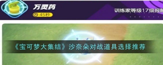 宝可梦大集结沙奈朵对战道具选择推荐 宝可梦大集结沙奈朵对战道具选择推荐