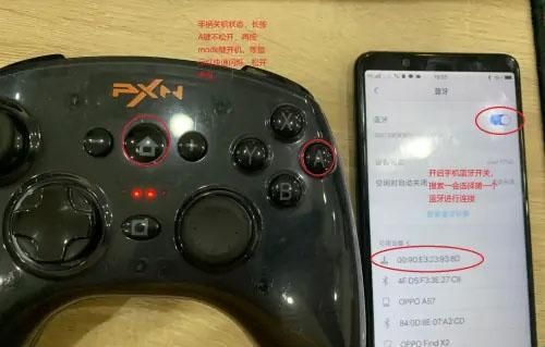小鸡模拟器电视版