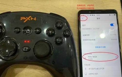小鸡模拟器电视版