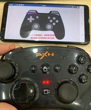 小鸡模拟器电视版