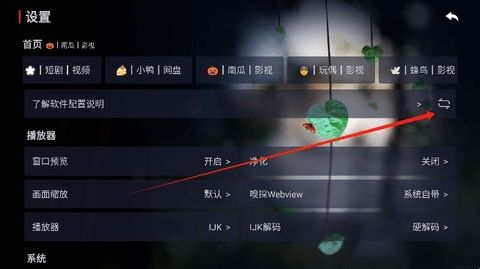 火影TV电视版