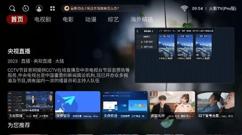 火影TV电视版