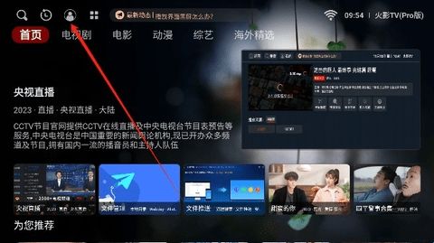 火影TV电视版