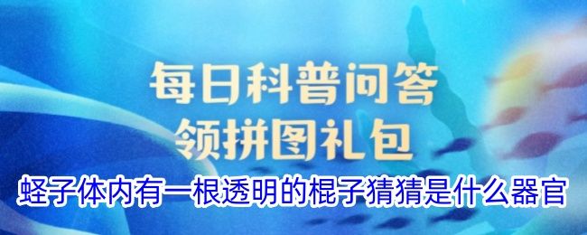 蛏子体内有一根透明的棍子猜猜是什么器官 蛏子体内有一根透明的棍子猜猜是什么器官