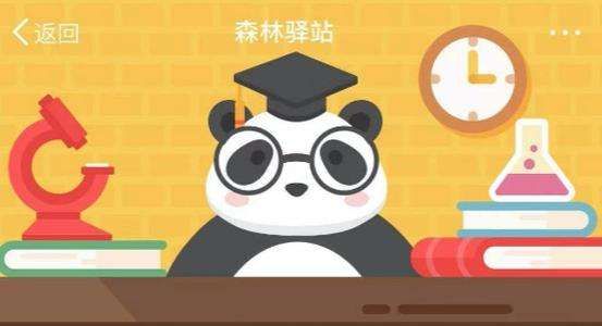 微博6月20日森林驿站最新答案 微博6月20日森林驿站最新答案