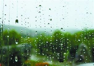 雨中巧遇:外回りで突然の大嵐、その時傘宿に学ぶこと 雨中巧遇:外回りで突然の大嵐、その時傘宿に学ぶこと