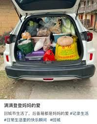 后备厢大赛再度开启:展现你的创意与热情 后备厢大赛再度开启:展现你的创意与热情