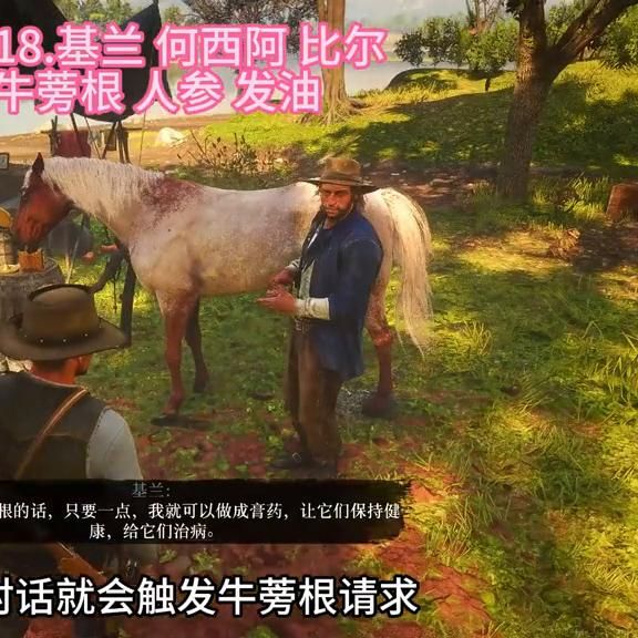 荒野大镖客任务pc,22件营地伙伴物品任务全解 荒野大镖客任务pc,22件营地伙伴物品任务全解