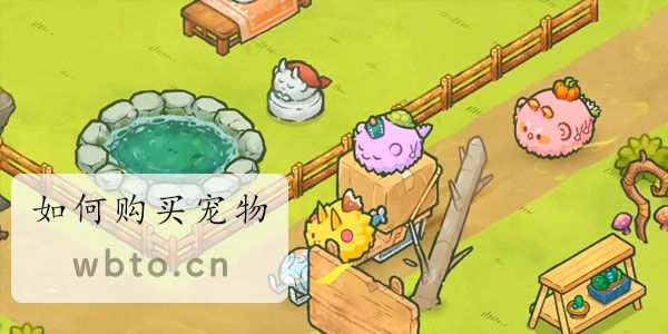 axie如何交易宠物 axie如何交易宠物