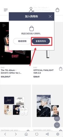 SMTOWN中文版