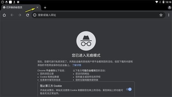 谷歌浏览器2019旧版本(Chrome)