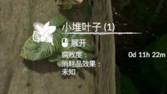 《绿色地狱》小堆叶子用途一览