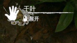 《绿色地狱》小堆叶子用途一览