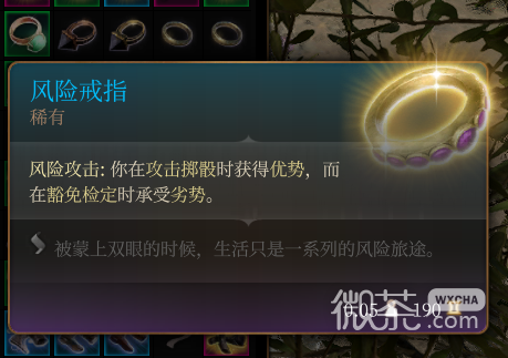 《博德之门3》风险戒指 稀有一览