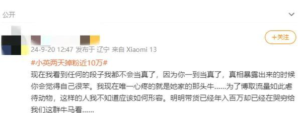 网红小英送养孩子属实不构成犯罪 网红小英送养孩子属实不构成犯罪