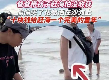 爸爸偷偷买花蛤撒海滩上让女儿捡 爸爸偷偷买花蛤撒海滩上让女儿捡