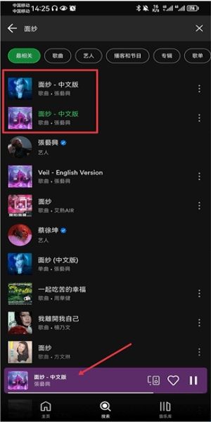 Spotify安卓版
