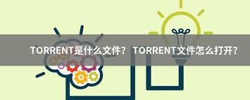 什么是torrent文件 什么是torrent文件