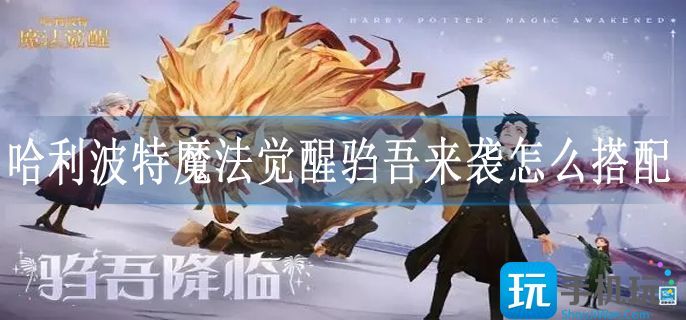 哈利波特魔法觉醒驺吾来袭怎么搭配 哈利波特魔法觉醒驺吾来袭怎么搭配