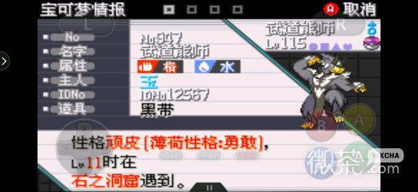《口袋妖怪传说绿宝石》熊徒弟进化方法攻略