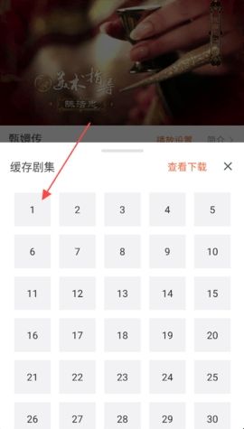 51看剧2024版