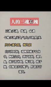 天七”究竟蕴含何意一探究竟 天七”究竟蕴含何意一探究竟