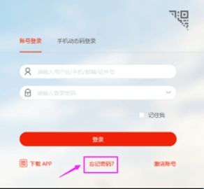 i集大最新版