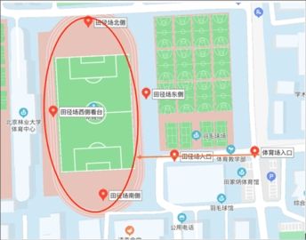 运动世界校园学生版