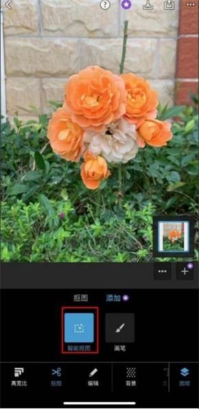 PScc2019手机版v9.9.9汉化版