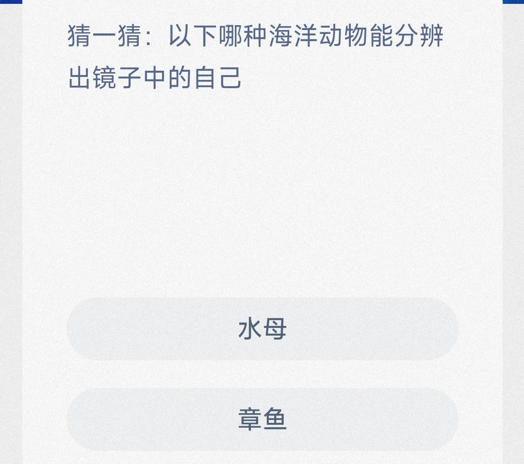 猜一猜以下哪种海洋动物能分辨出镜子中的自己 猜一猜以下哪种海洋动物能分辨出镜子中的自己