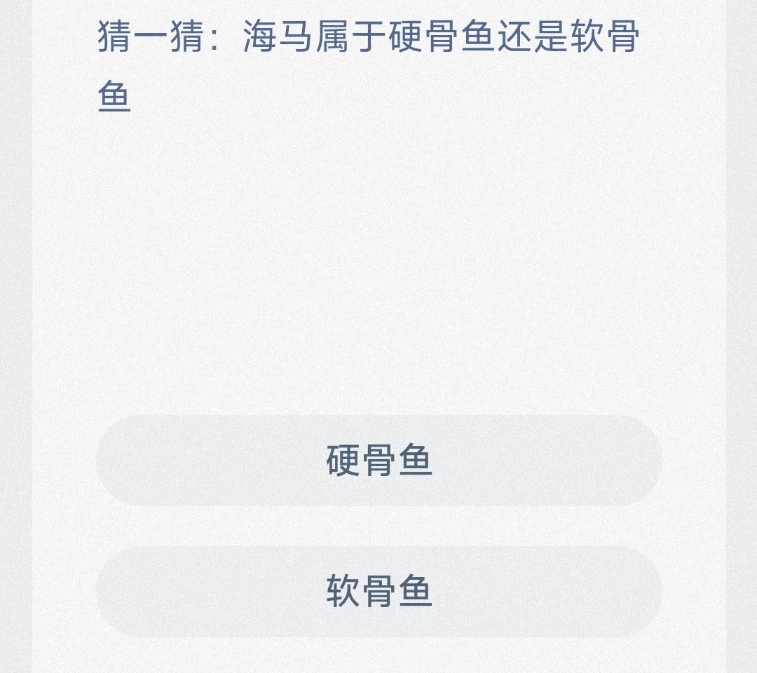 猜一猜海马属于硬骨鱼还是软骨鱼 猜一猜海马属于硬骨鱼还是软骨鱼