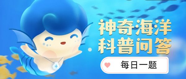 以下哪类海洋动物属于鱼类 以下哪类海洋动物属于鱼类