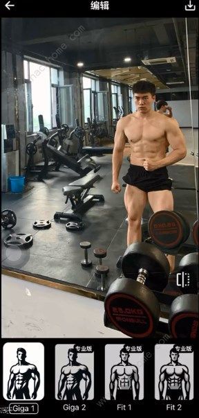 gigabody中文名叫什么全功能解锁版有何妙用 gigabody中文名叫什么全功能解锁版有何妙用