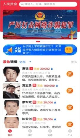 人民赏金(Wanted)
