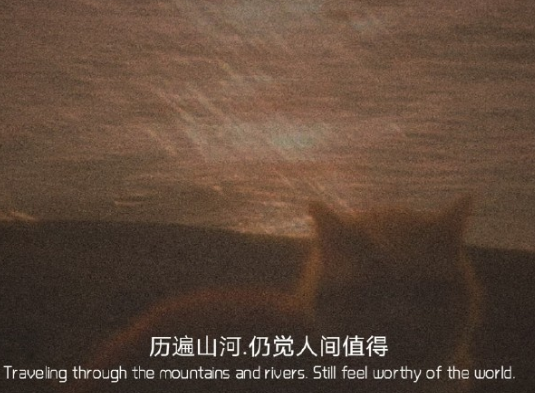 2021除夕夜甜蜜的情侣告白情话除夕夜跟另一半告白的话 2021除夕夜甜蜜的情侣告白情话除夕夜跟另一半告白的话