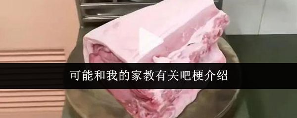 可能和我的家教有关吧梗介绍 可能和我的家教有关吧梗介绍