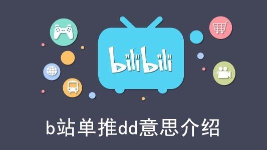 b站单推dd意思介绍 b站单推dd意思介绍