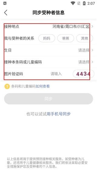 小豆苗