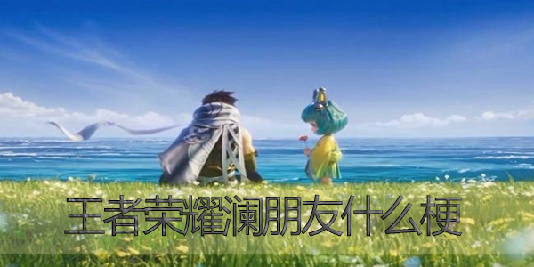王者荣耀澜朋友什么梗 王者荣耀澜朋友什么梗